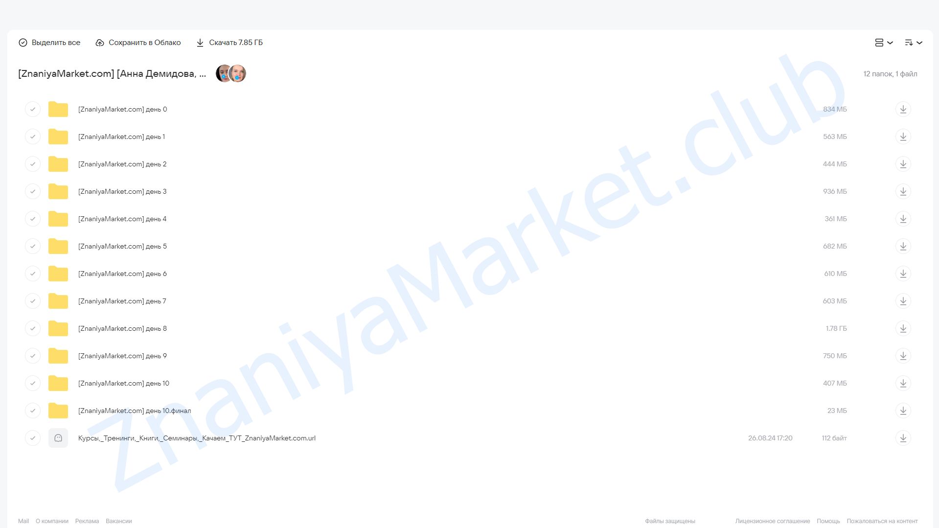 [SMM-Академия] Нейроспринт (Анна Демидова, Михаил Христосенко) облако mail, фото 2 из 2.