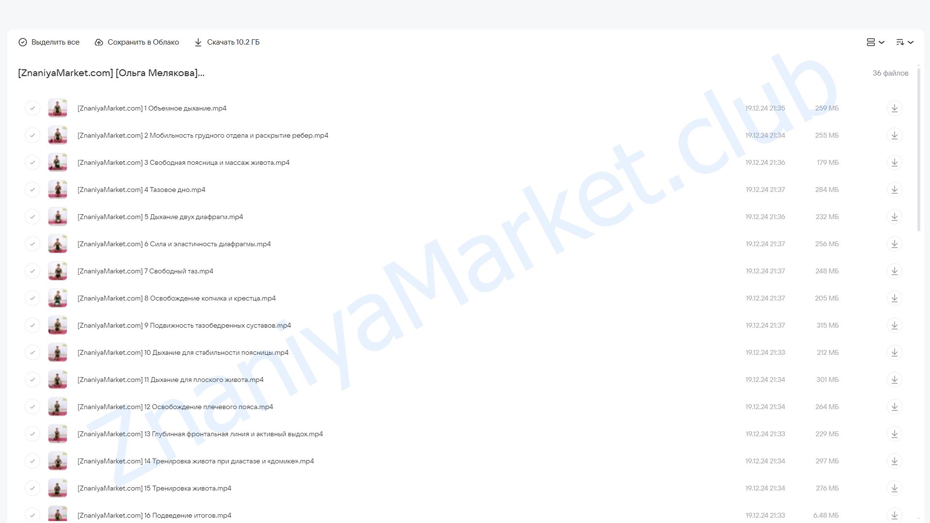 [Академия МЕЛ] Дыхание. Живот. Тазовое дно. Тариф Самостоятельный (Ольга Мелякова) облако mail, фото 2 из 2.
