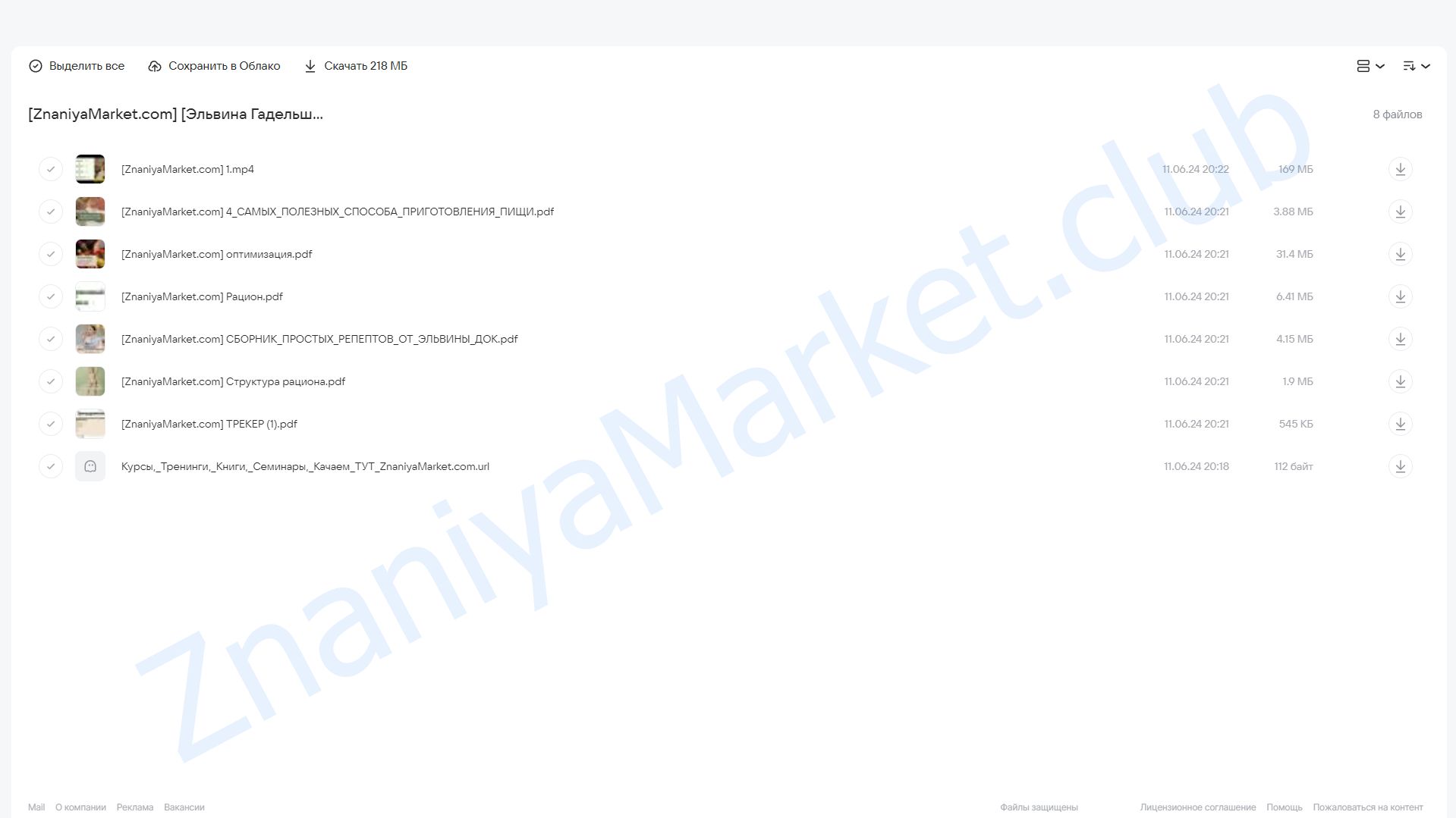 Разработка меню (Эльвина Гадельшина) облако mail, фото 2 из 2.