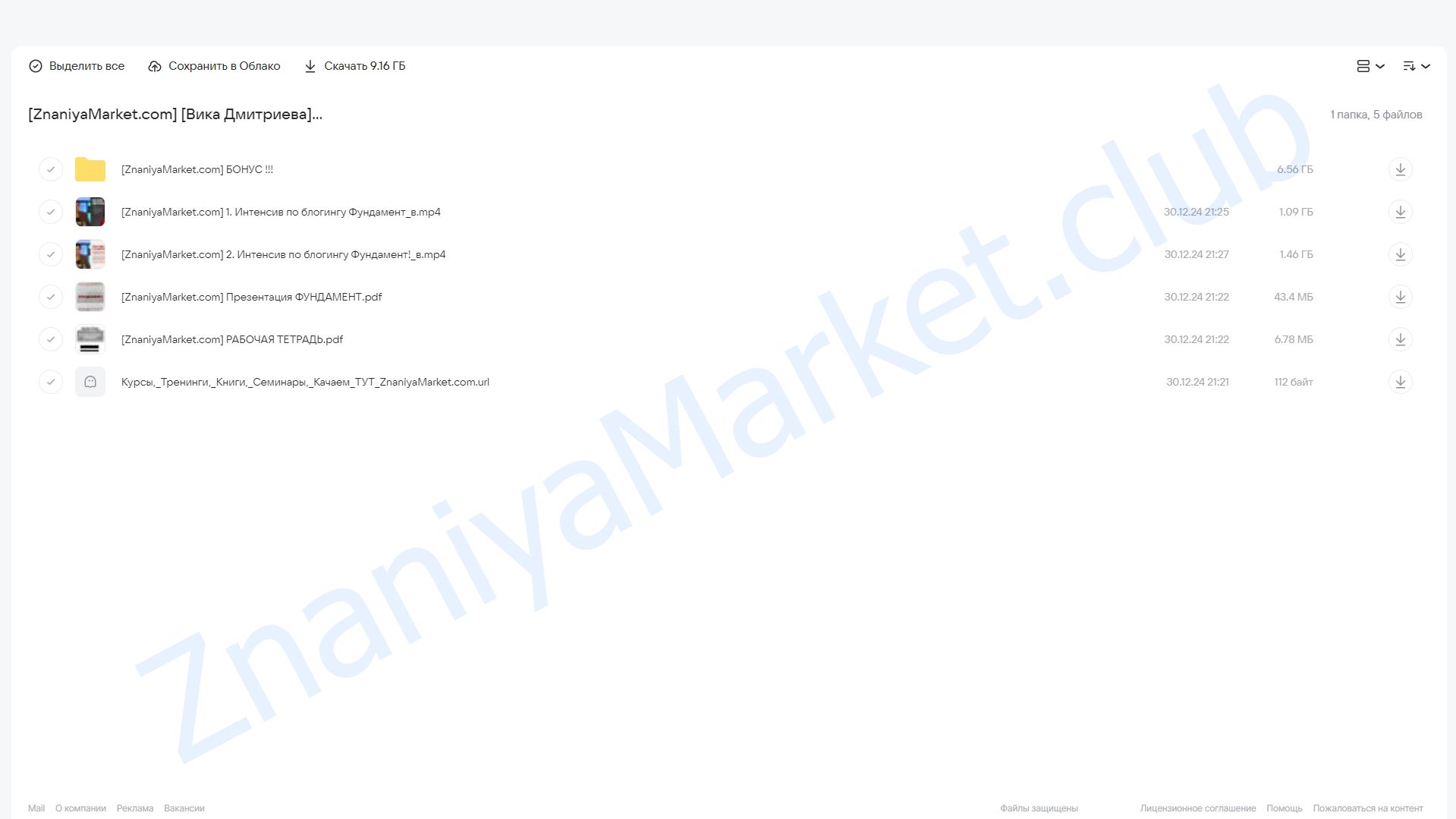 Интенсив по блогингу Фундамент (Вика Дмитриева) облако mail, фото 2 из 2.