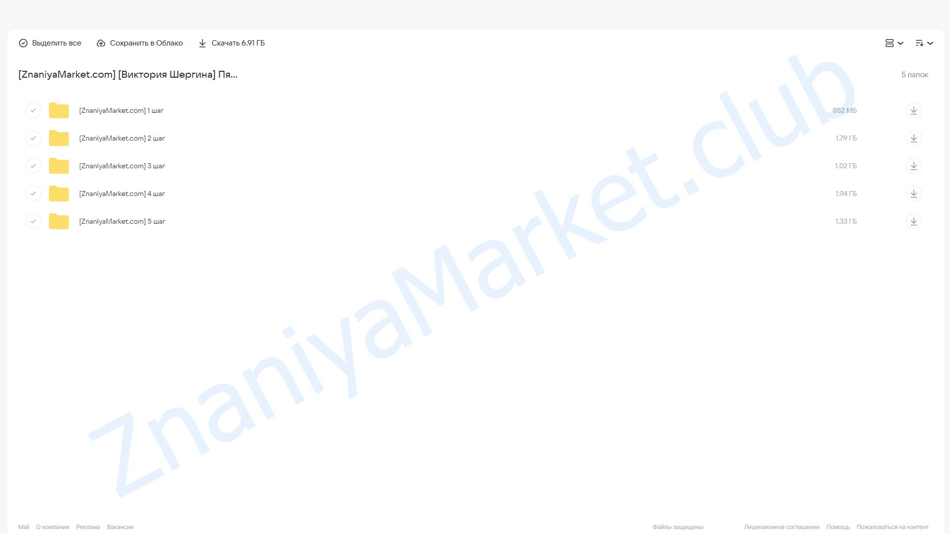 Пять шагов в инвесторы. 24 поток (Виктория Шергина) облако mail, фото 2 из 2.