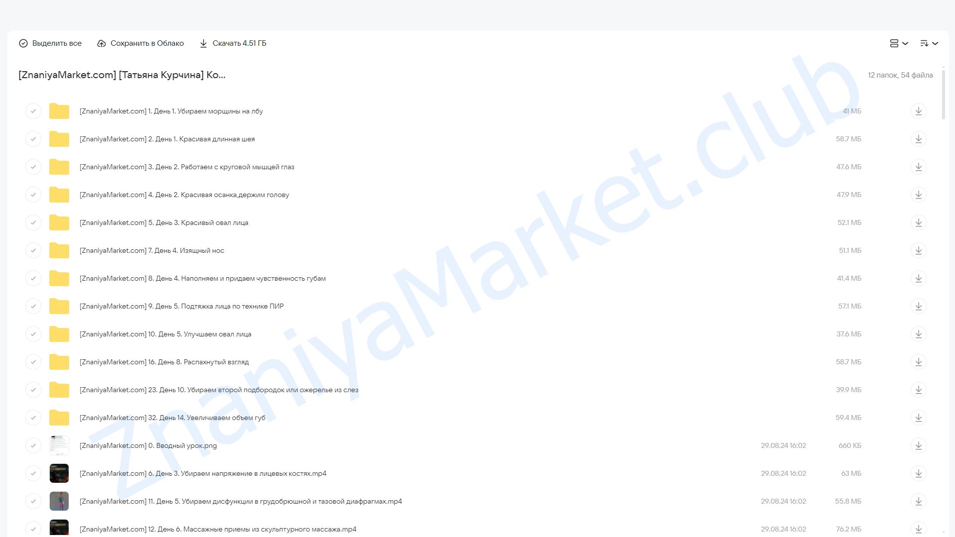 Королева дня (Татьяна Курчина) облако mail, фото 2 из 2.