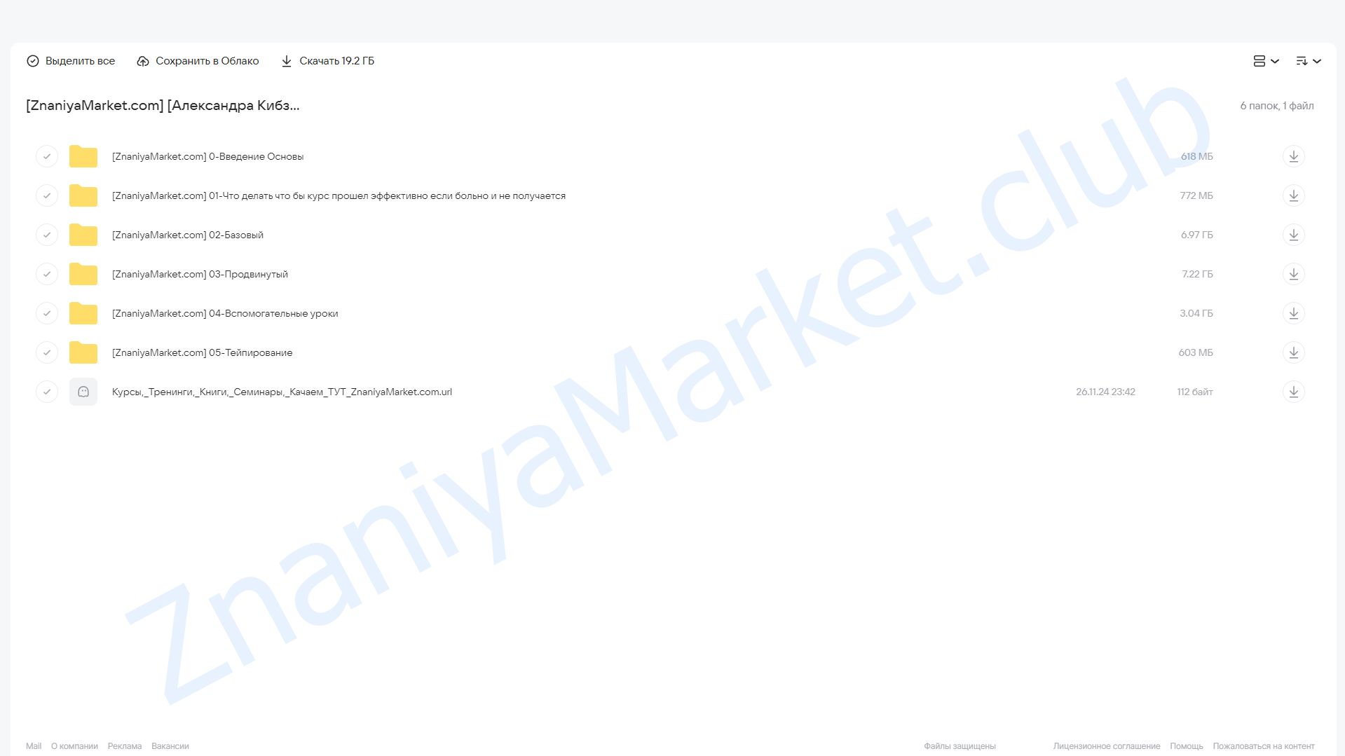 Антиотек: Лицо и Тело. Тариф Базовый (Александра Кибзий) облако mail, фото 2 из 2.