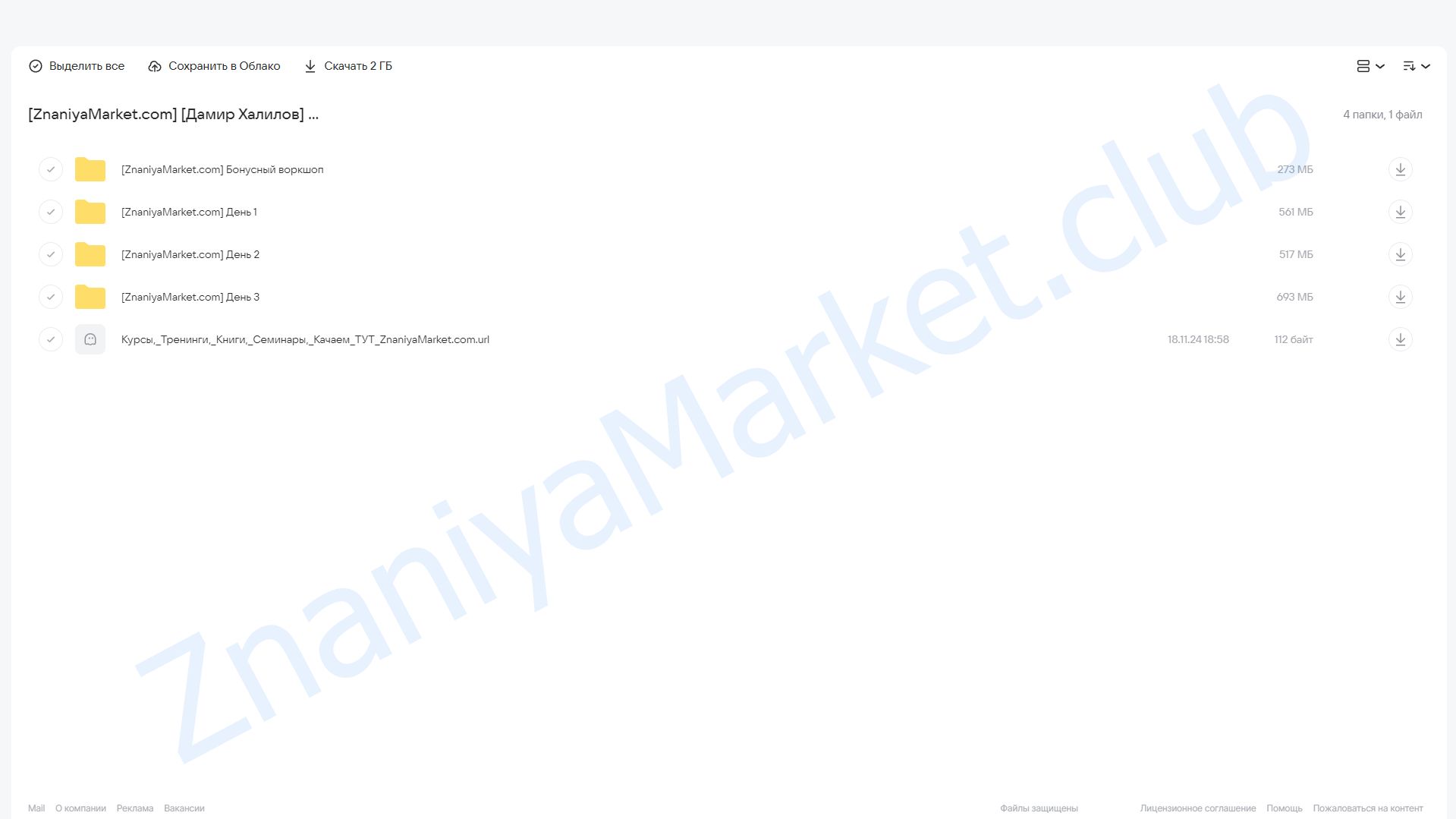 Нейросети 2025: для бизнеса, карьеры и дохода. Тариф ВИП (Дамир Халилов) облако mail, фото 2 из 2.