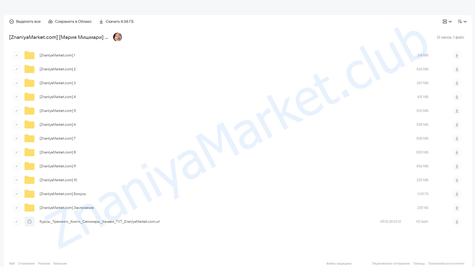 Интенсив по Telegram 2025 (Мария Мишмари) облако mail, фото 2 из 2.