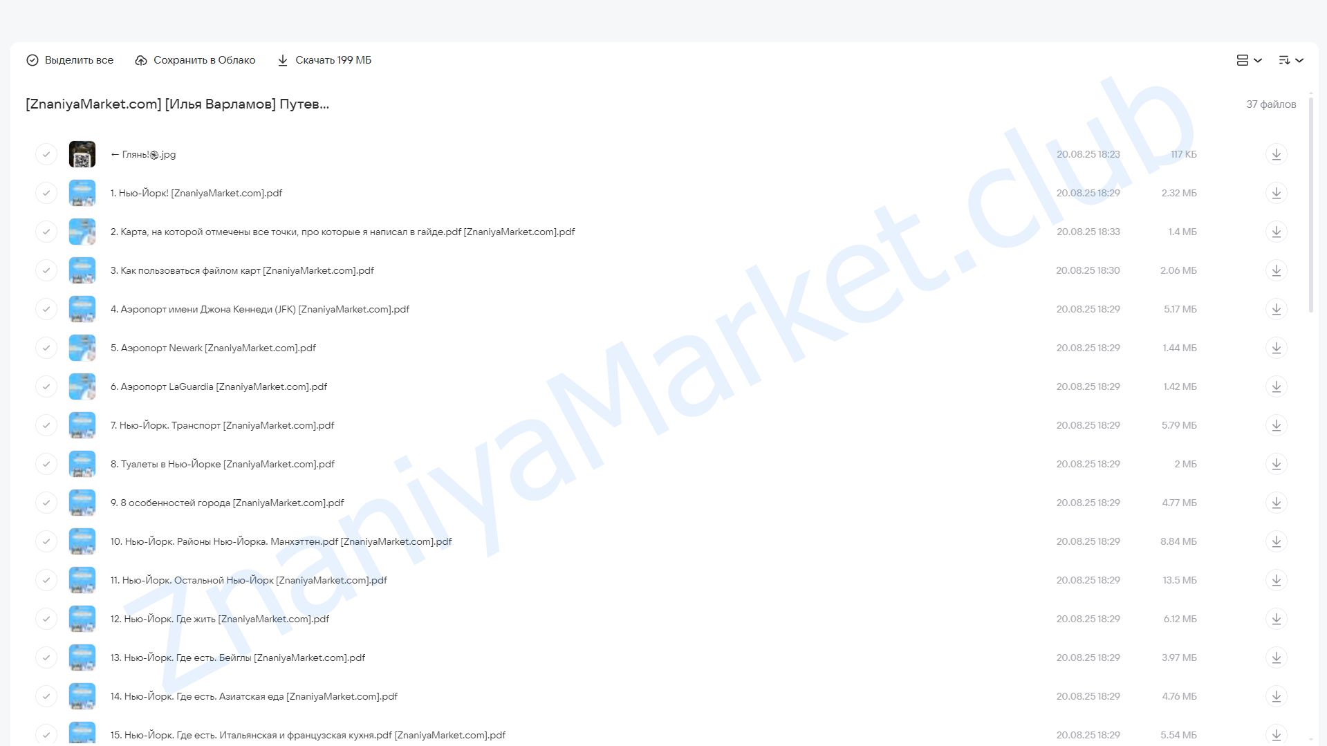 Путеводитель по городу Нью-Йорк (Илья Варламов) облако mail, фото 2 из 2.