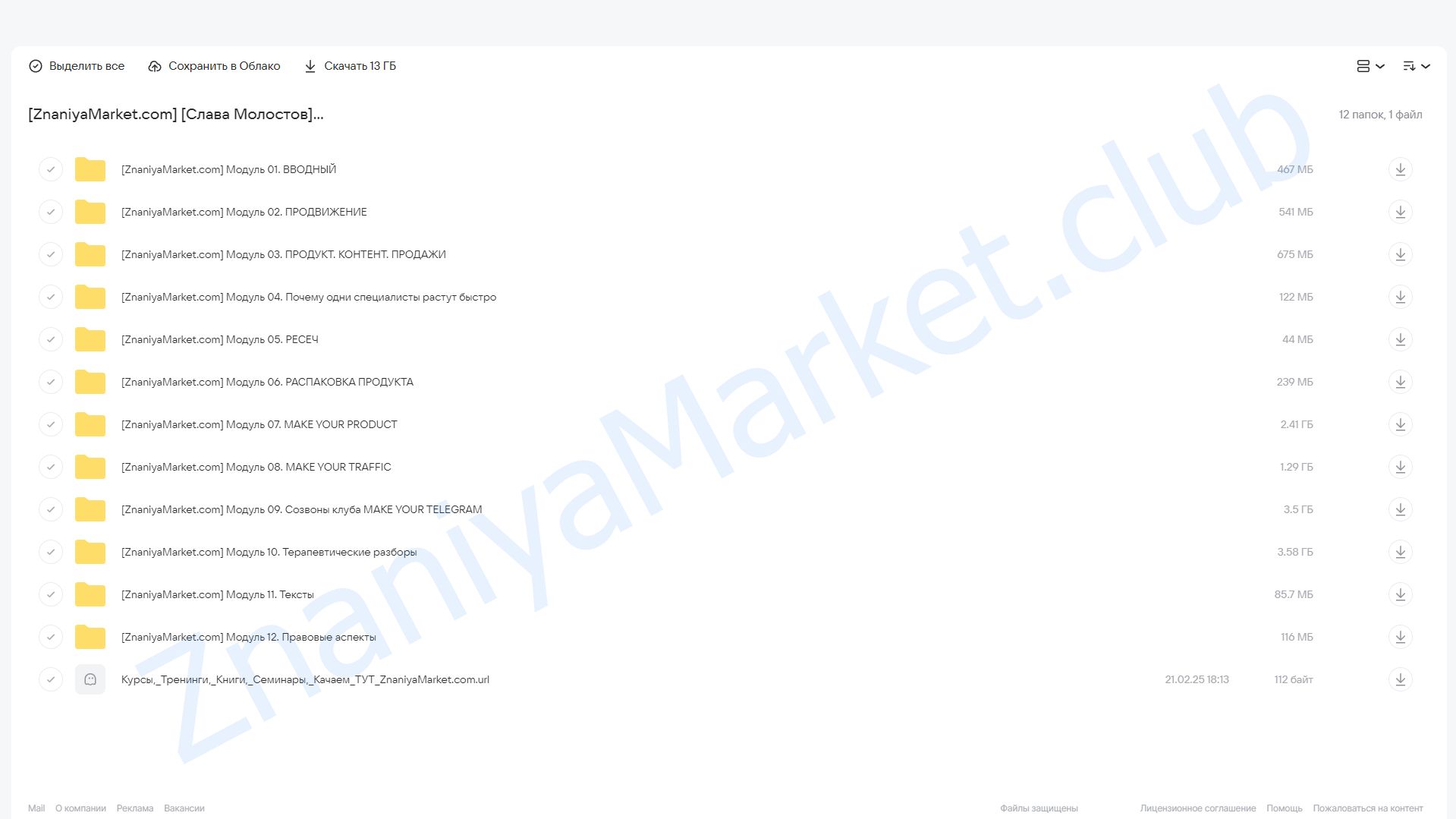 Make your Telegram. Тариф 6 месяцев (Слава Молостов) облако mail, фото 2 из 2.