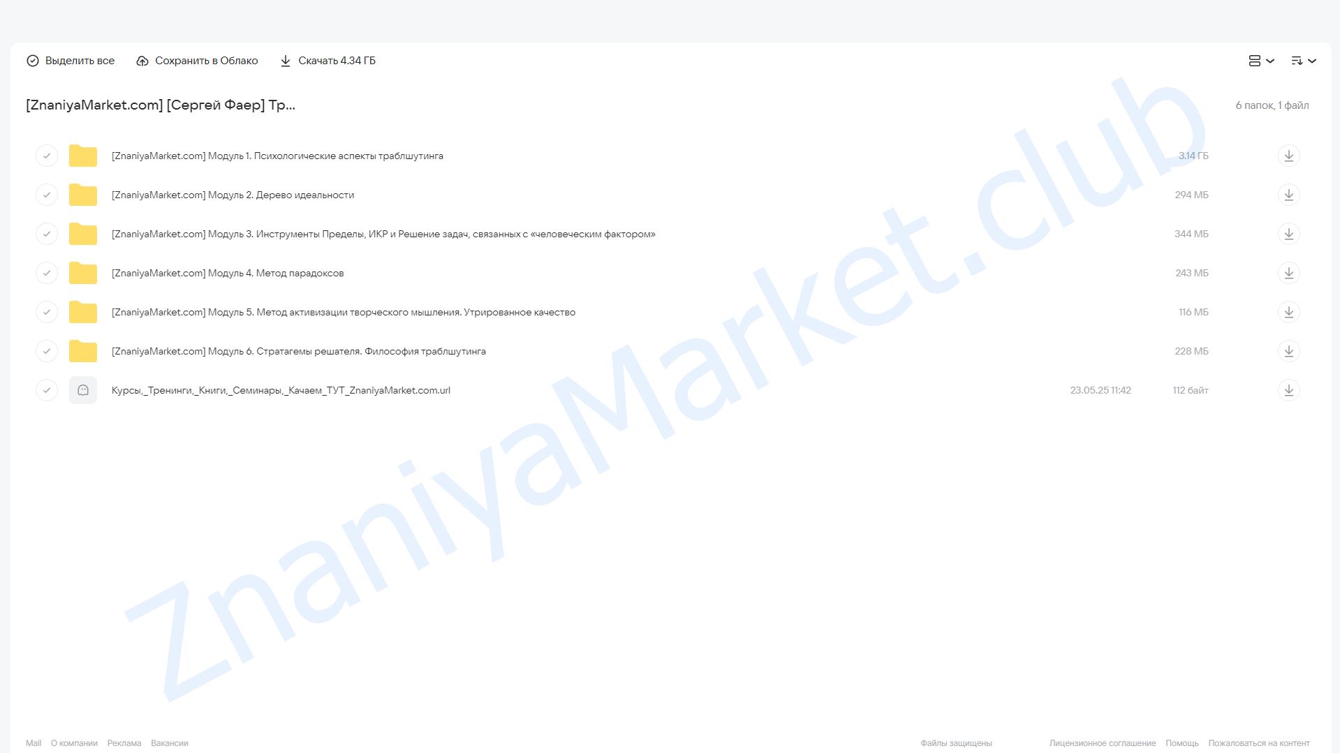 Траблшутинг Фаера. Пакет Самостоятельный (Сергей Фаер) облако mail, фото 2 из 2.