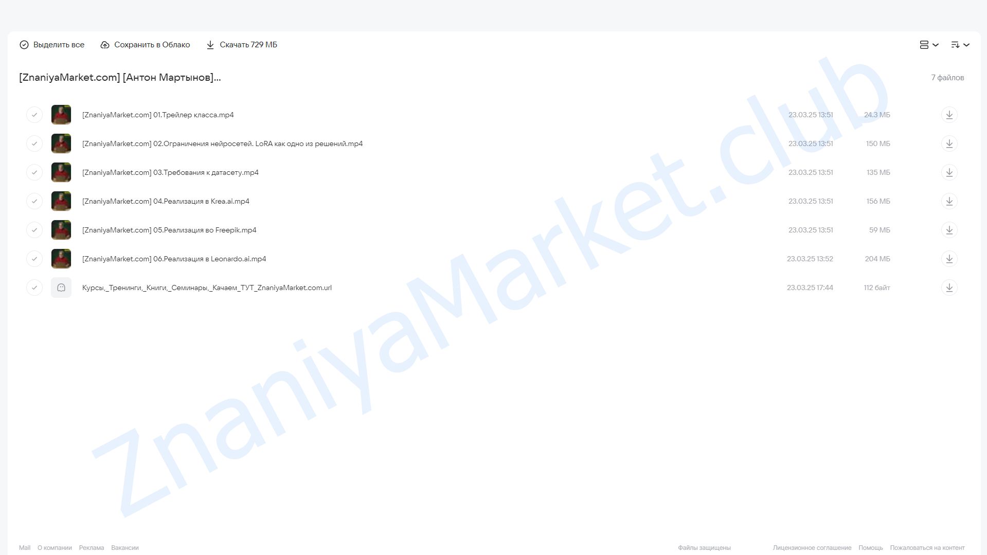 [Liveclasses] Тренировка LoRA моделей в Leonardo.ai, Krea.ai и FreePik (Антон Мартынов) облако mail, фото 2 из 2.