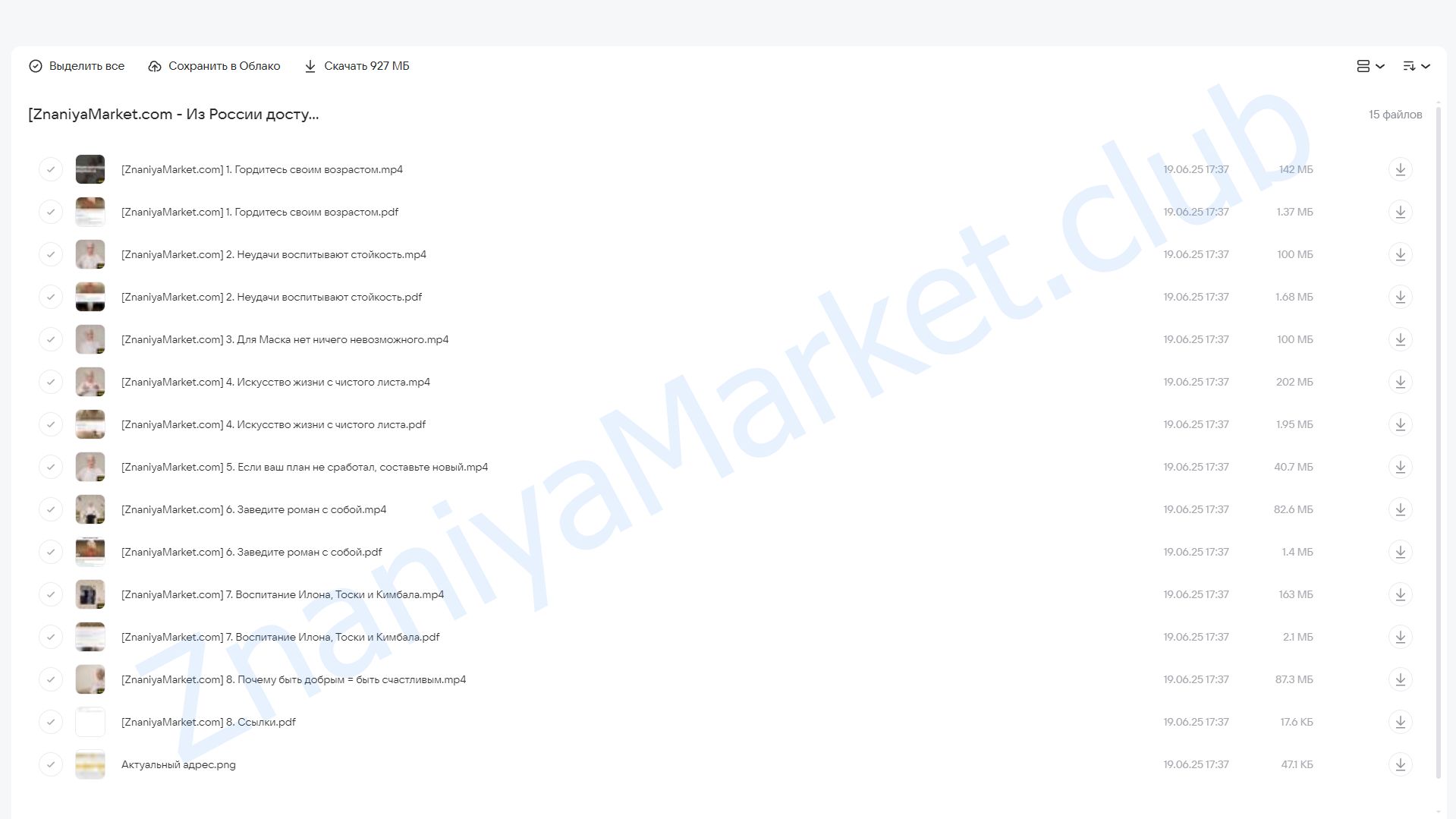 [Mindvalley] 5 правил жизни Мэй Маск (Мэй Маск) облако mail, фото 2 из 2.