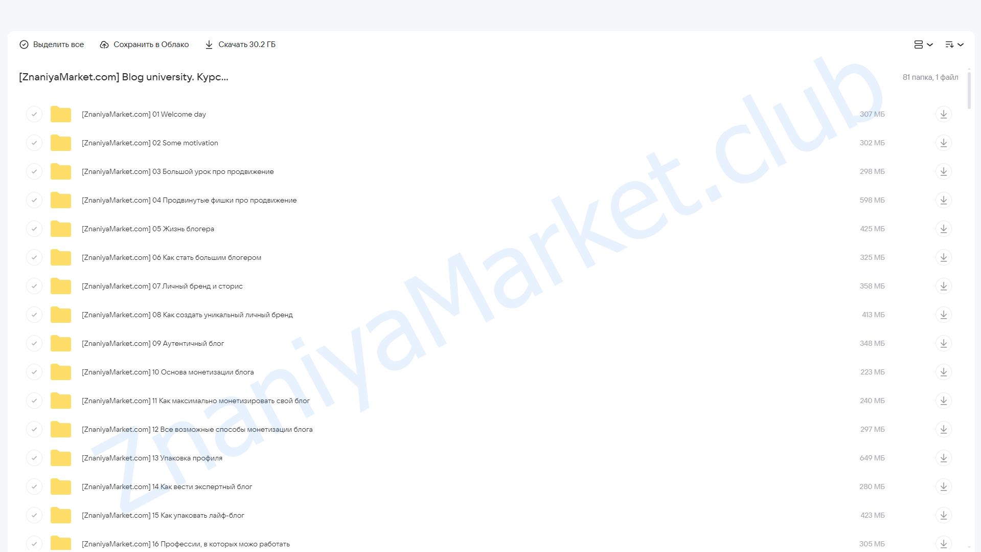 Blog university. Курс по блогингу. Тариф: independent (Полина Зиновьева) облако mail, фото 2 из 2.