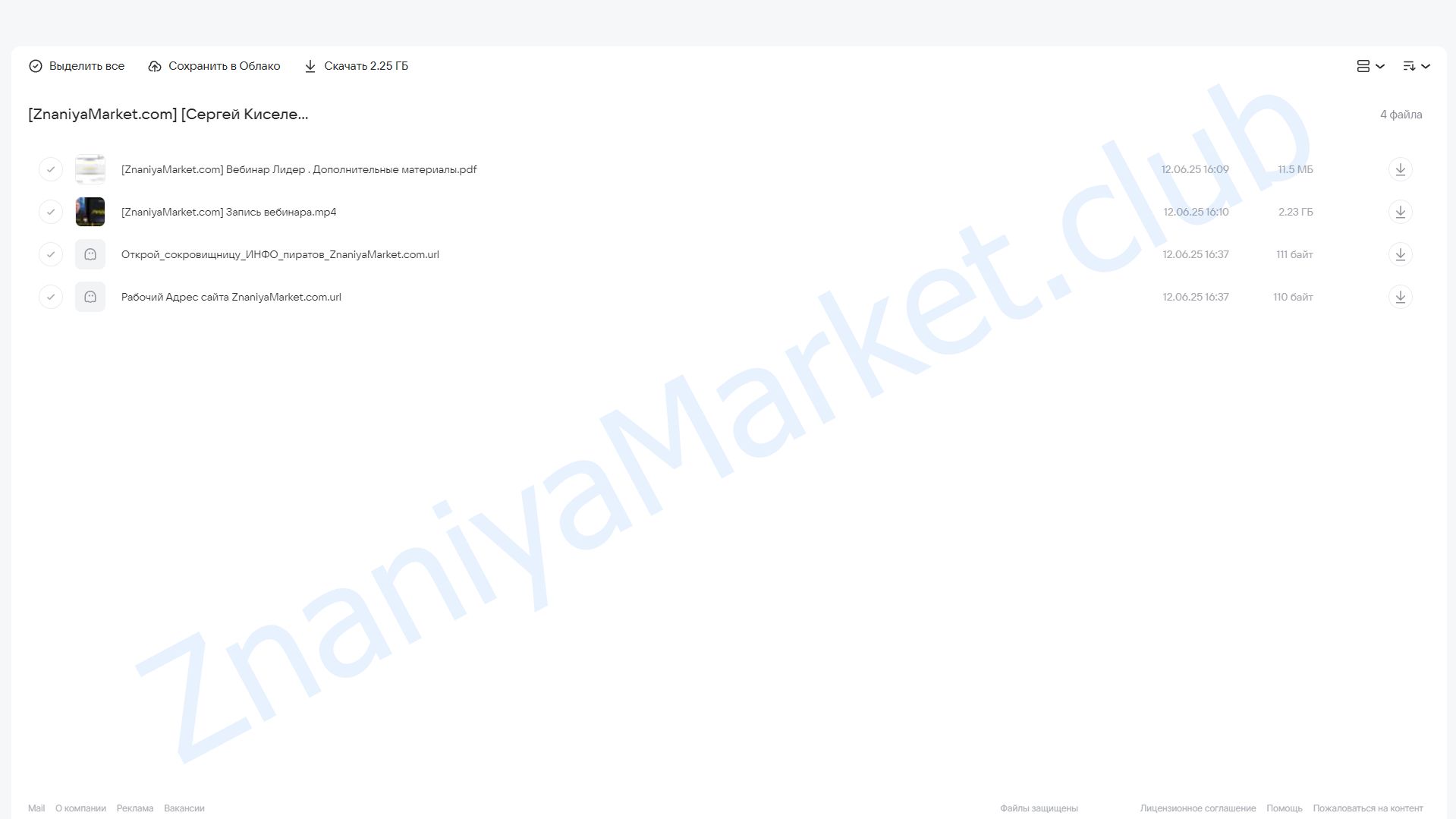 Лидер (Сергей Киселев) облако mail, фото 2 из 2.