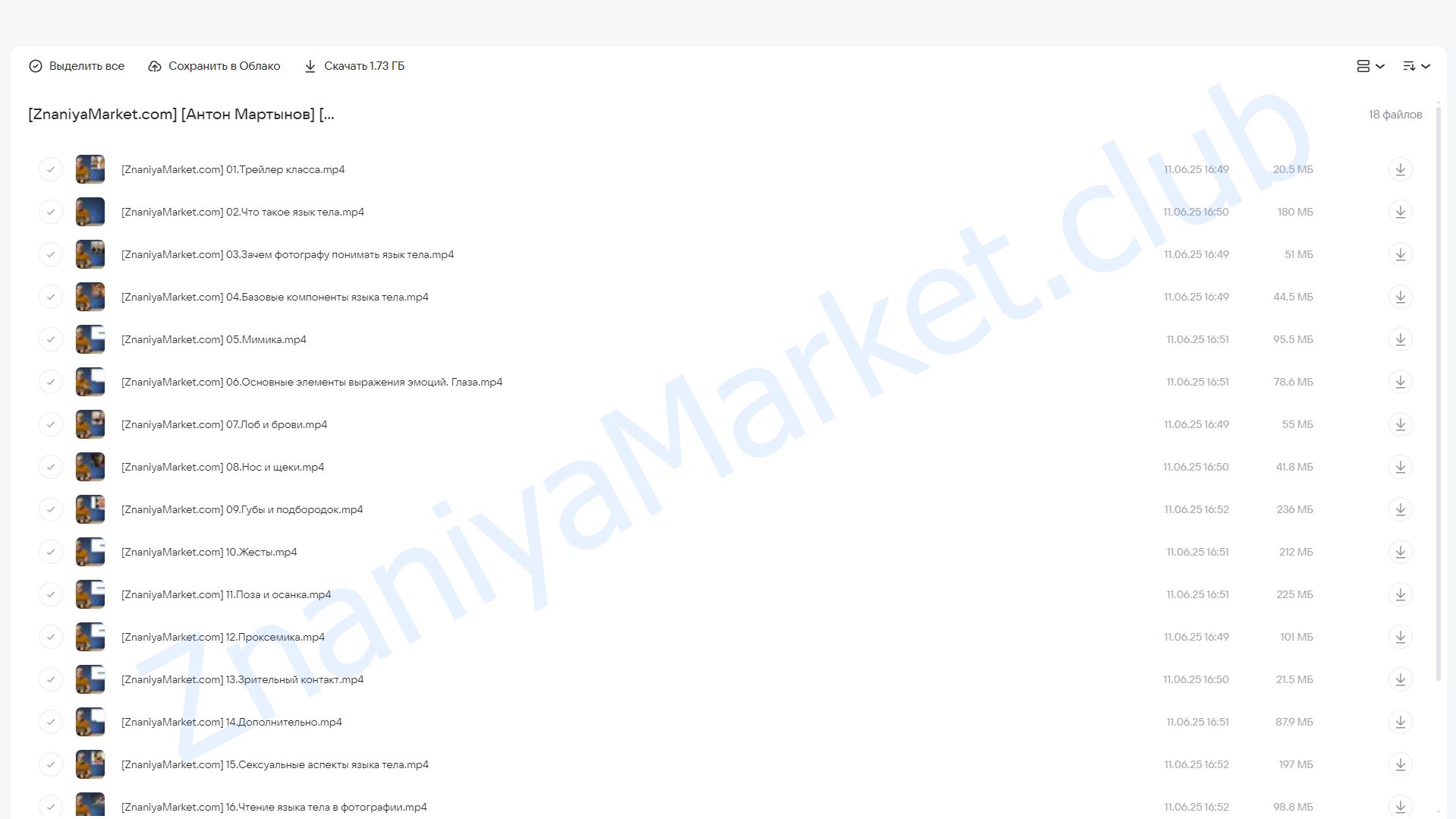 [Liveclasses] Язык тела для фотографов (Антон Мартынов) облако mail, фото 2 из 2.