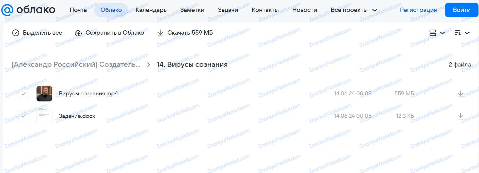 Создатель 2. Тонкокожий человек. Пакет Минимум (Александр Российский) файлы курса на Облако Mail скриншот 6