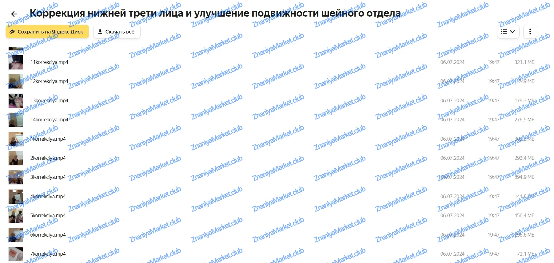 Все массажные техники по телу и лицу (Татьяна Шубина) файлы курса на Яндекс Облако скриншот 4