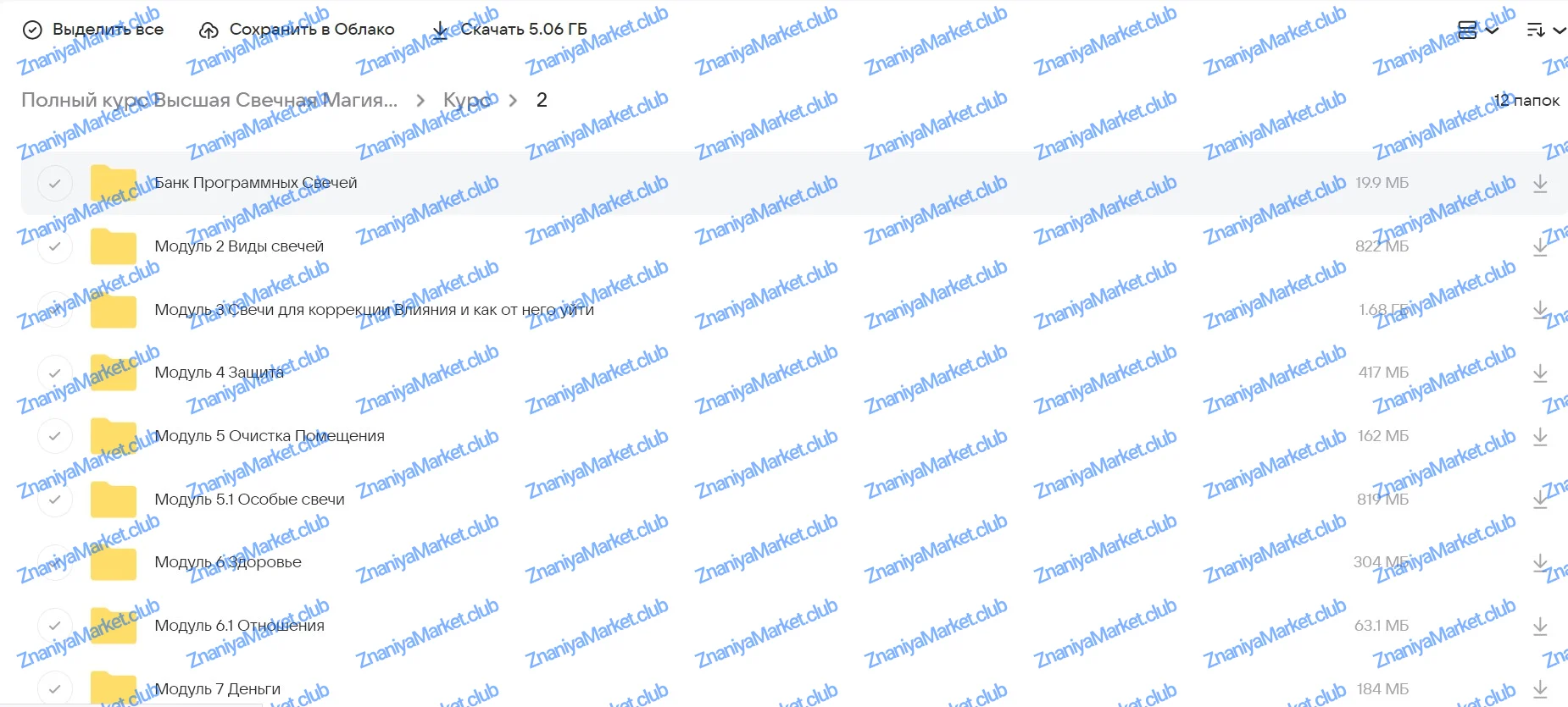 [Город Мастеров Жизни] Полный курс Высшая Свечная Магия (Светлана Цыганова) файлы курса на облаке скриншот 5