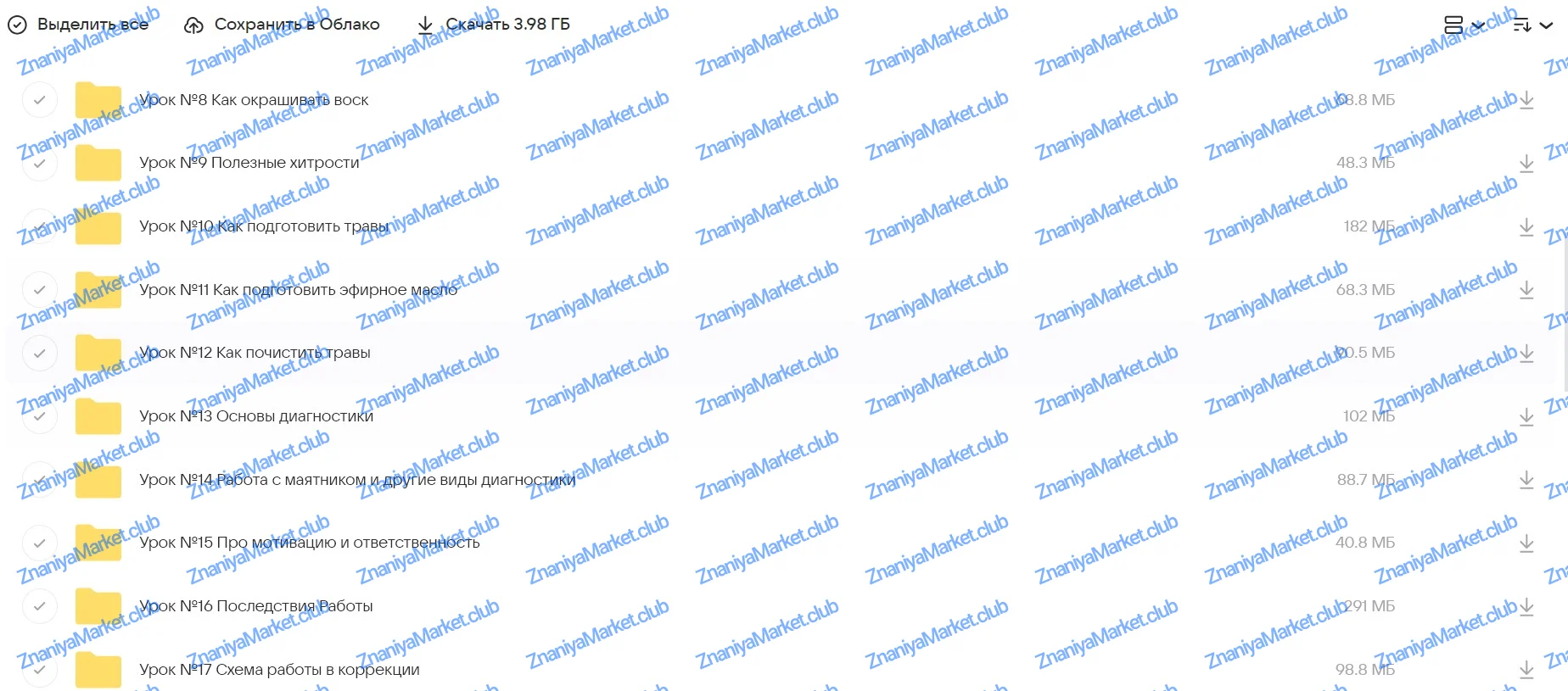 [Город Мастеров Жизни] Полный курс Высшая Свечная Магия (Светлана Цыганова) файлы курса на облаке скриншот 2