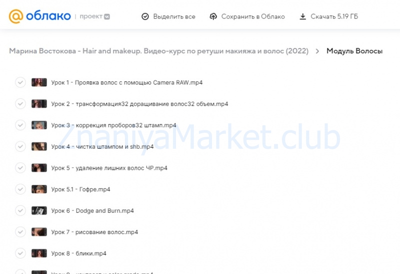 Hair and makeup. Видео-курс по ретуши макияжа и волос (Марина Востокова) скрин на облаке, фото 2 из 2.