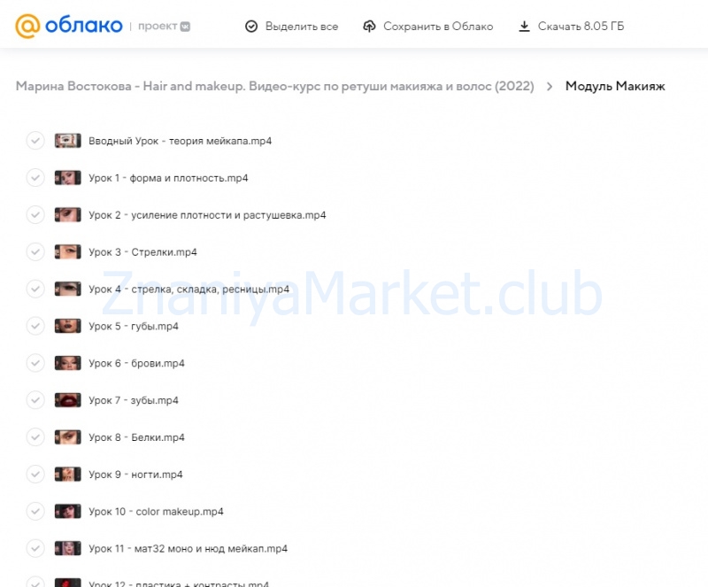 Hair and makeup. Видео-курс по ретуши макияжа и волос (Марина Востокова) скрин на облаке, фото 2 из 2.