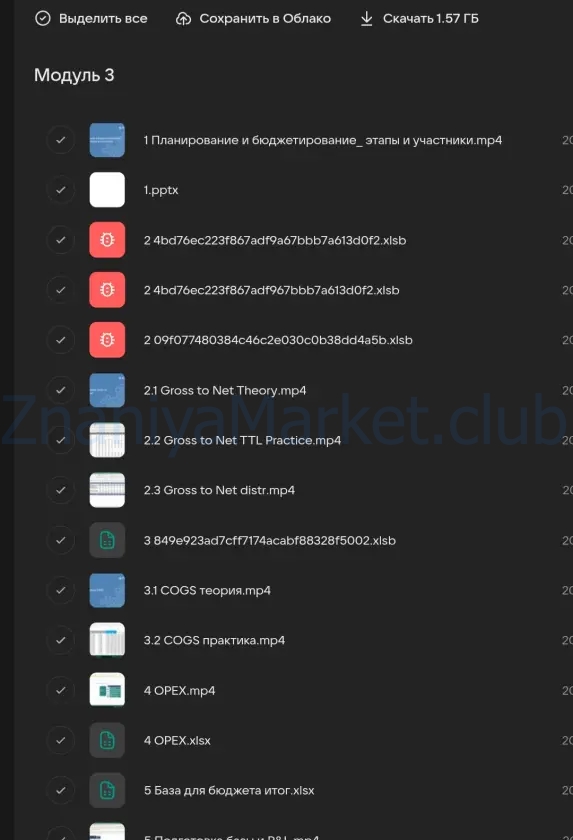 [SF Education] Финансовый менеджер (Антон Якушин, Павел Онищенко) скрин на облаке, фото 2 из 2.