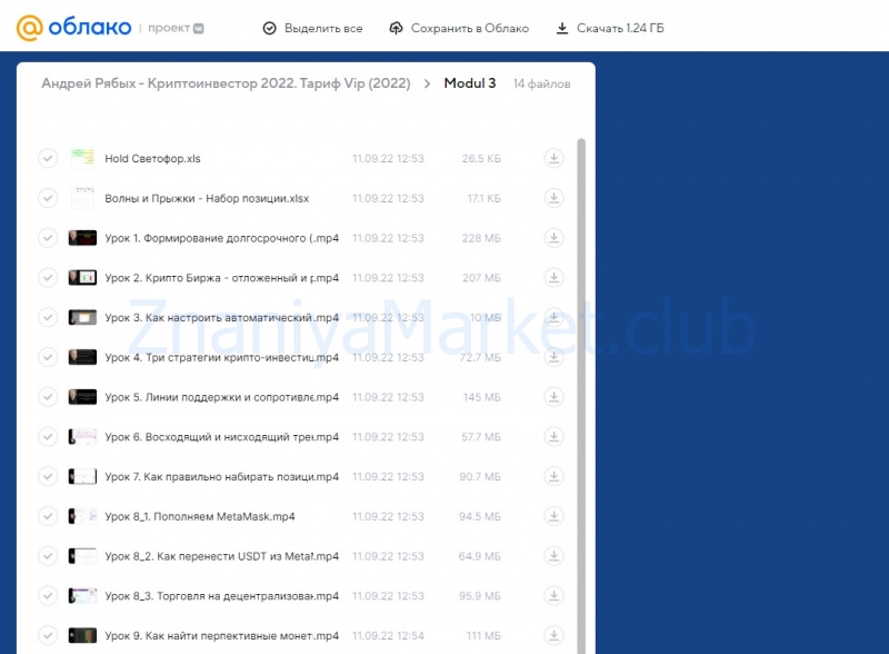 Криптоинвестор 2022. Тариф Vip (Андрей Рябых) скрин на облаке, фото 2 из 2.