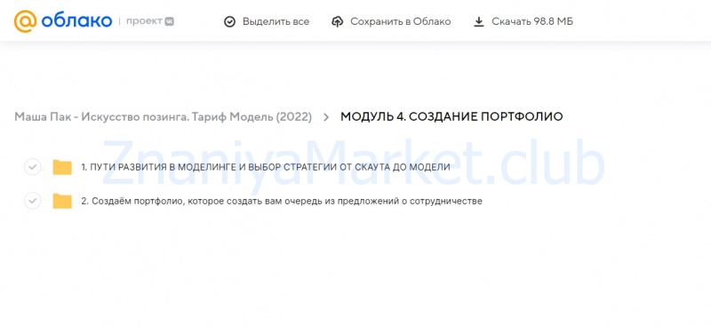 Искусство позинга. Тариф Модель (Маша Пак) скрин на облаке, фото 2 из 2.