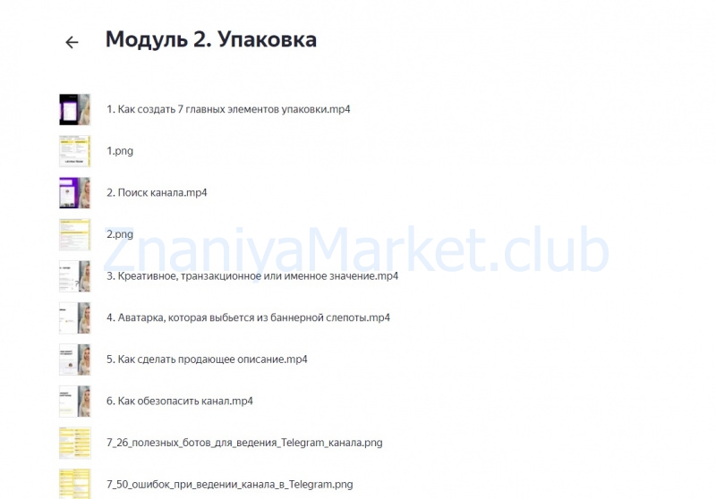 [Smart Team] TelegramBL. Тариф Полное погружение (Ильяна Левина) скрин на облаке, фото 2 из 2.