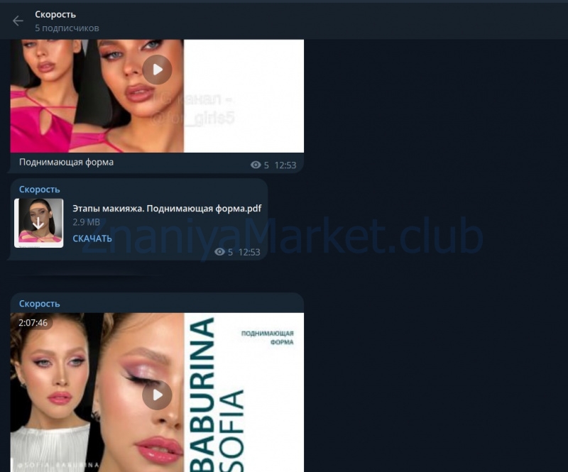 Скорость 1.0 (Софья Бабурина) скрин на облаке, фото 2 из 2.