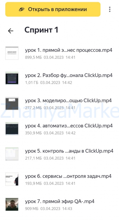 To the лям. Тариф Команда и систематизация бизнеса (Павел Шевченко) скрин на облаке, фото 2 из 2.