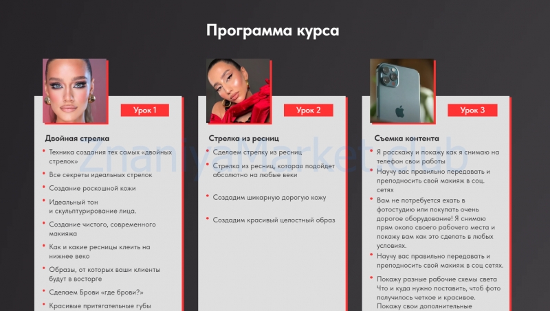 Авторский онлайн-курс по макияжу. Тариф 2 (Николета Сариева) скрин на облаке, фото 2 из 2.