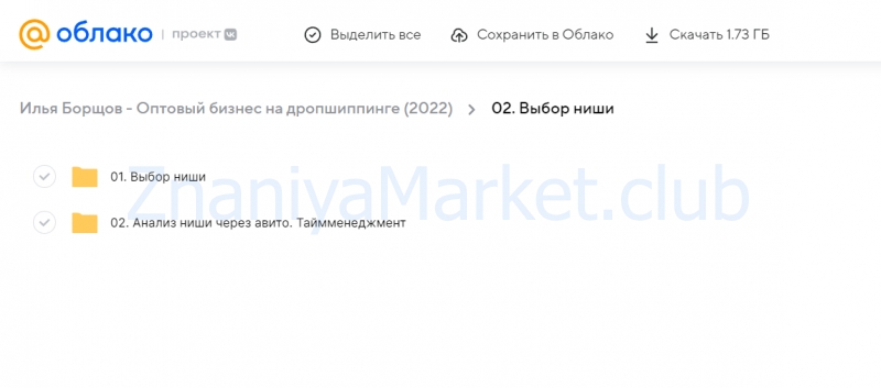 Оптовый бизнес на дропшиппинге (Илья Борщов) скрин на облаке, фото 2 из 2.