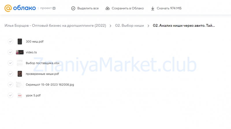 Оптовый бизнес на дропшиппинге (Илья Борщов) скрин на облаке, фото 2 из 2.