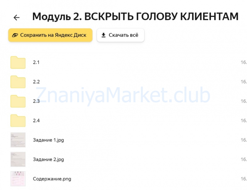 Маркетинговые стратегии в социальных сетях. 10 поток (Элеонора Тюрина) скрин на облаке, фото 2 из 2.