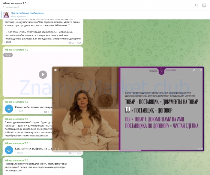 WB на миллион 7.0. Тариф С поддержкой (Софи Азарова) скрин на облаке, фото 2 из 2.