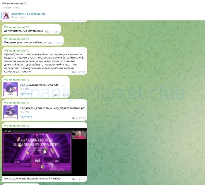 WB на миллион 7.0. Тариф С поддержкой (Софи Азарова) скрин на облаке, фото 2 из 2.