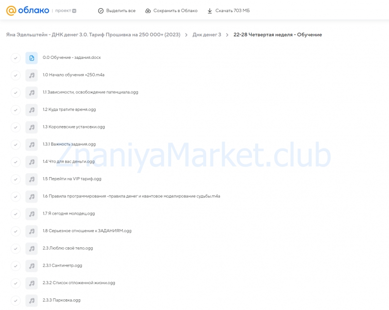 ДНК денег 3.0. Тариф Прошивка на 250 000+ (Яна Эдельштейн) скрин на облаке, фото 2 из 2.