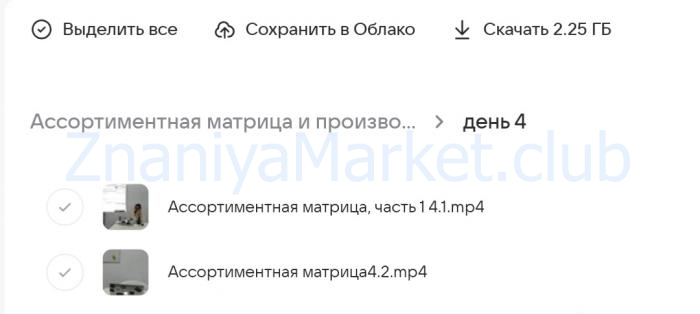 Ассортиментная матрица и производство коллекции (Екатерина Дягилева) скрин на облаке, фото 2 из 2.