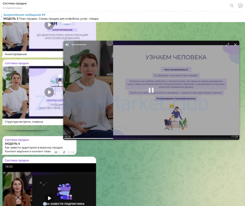 Система продаж. Тариф С наставником (Маргарита Былинина) скрин на облаке, фото 2 из 2.