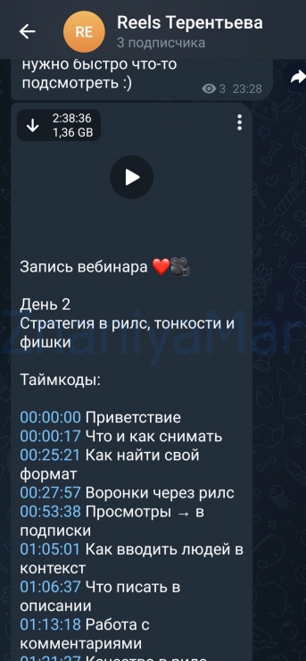 Авторский интенсив по продвижению через рилс (Лина Терентьева) скрин на облаке, фото 2 из 2.