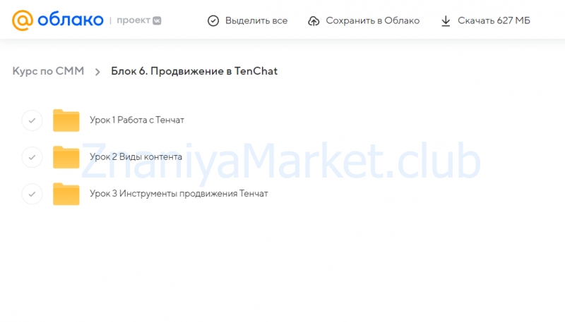 [МАЭР] SMM: Маркетинг в социальных сетях за 60 дней. Тариф Специалист (Юлия Трус, Алекс Волков, Юлия Лазарева, Алена Капелина) скрин на облаке, фото 2 из 2.