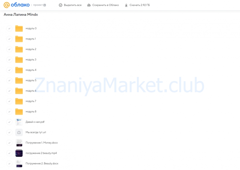 MindX. Тариф Я достойна (Анна Лапина) скрин на облаке, фото 2 из 2.