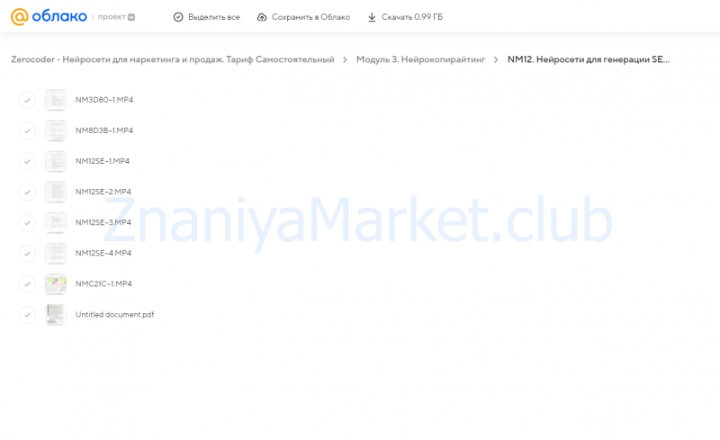 [Zerocoder] Нейросети для маркетинга и продаж. Тариф Самостоятельный (Кирилл Пшинник, Мария Размазина) скрин на облаке, фото 2 из 2.