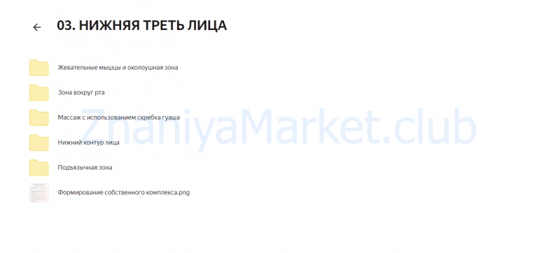 [FC - Academy] Авторский курс по моделированию лица. Тариф Основной (Юлия Злобина) скрин на облаке, фото 2 из 2.