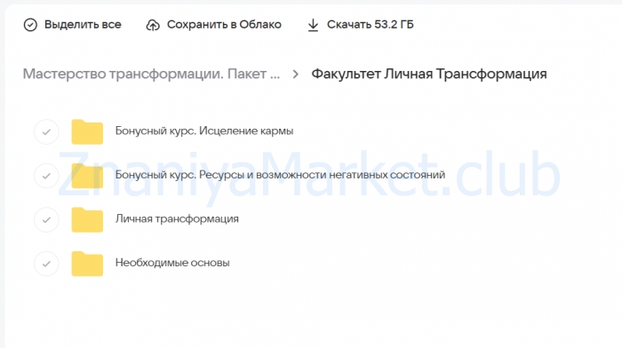 Мастерство трансформации. Пакет Профессия (Екатерина Самойлова) скрин на облаке, фото 2 из 2.
