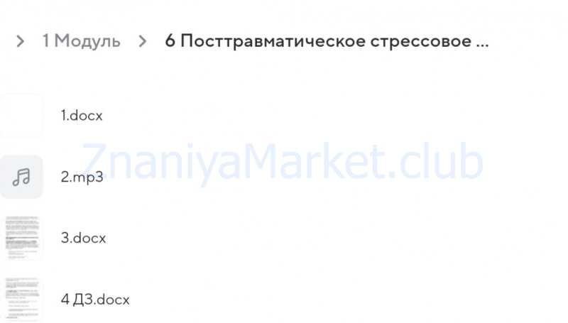 Безлимит - 2024 (Тата Феодориди) скрин на облаке, фото 2 из 2.