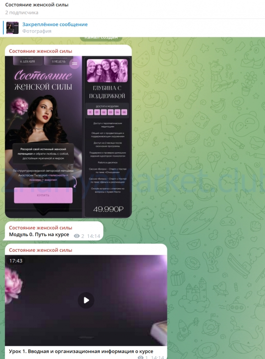 Состояние женской силы. Тариф Глубина с поддержкой (Анастасия Пилецкая) скрин на облаке, фото 2 из 2.