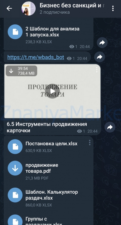 Бизнес без санкций и продажи на Wildberries 2024. ВИП тариф Самый выгодный (alin_arti) скрин на облаке, фото 2 из 2.