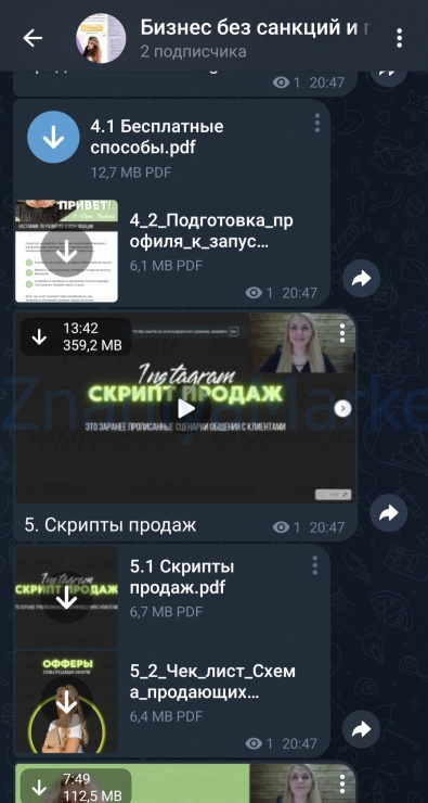 Бизнес без санкций и продажи на Wildberries 2024. ВИП тариф Самый выгодный (alin_arti) скрин на облаке, фото 2 из 2.