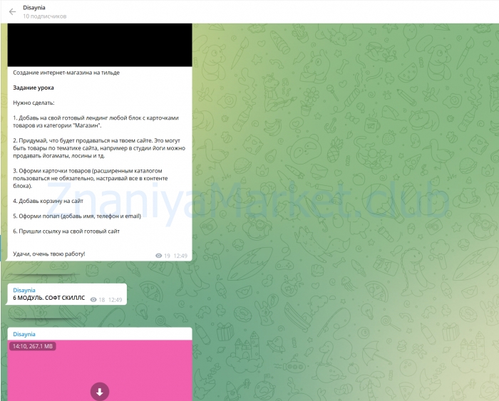 Курс по веб-дизайну Tilda + Figma. Тариф Усе сам (Злата Do.use touch) скрин на облаке, фото 2 из 2.