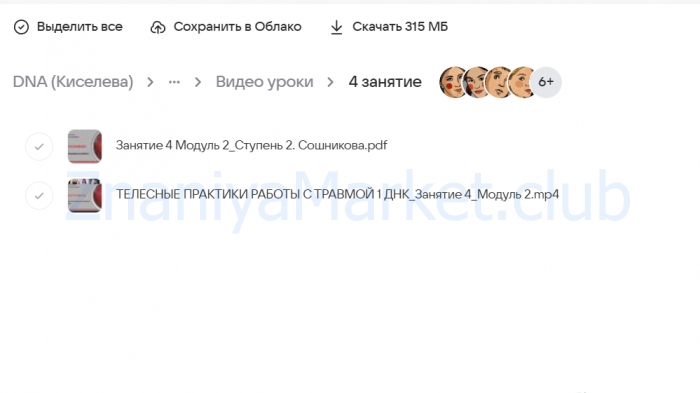 ДНК психотравмы. Ступень 2. Модуль II. Основной курс (Елена Киселева) скрин на облаке, фото 2 из 2.